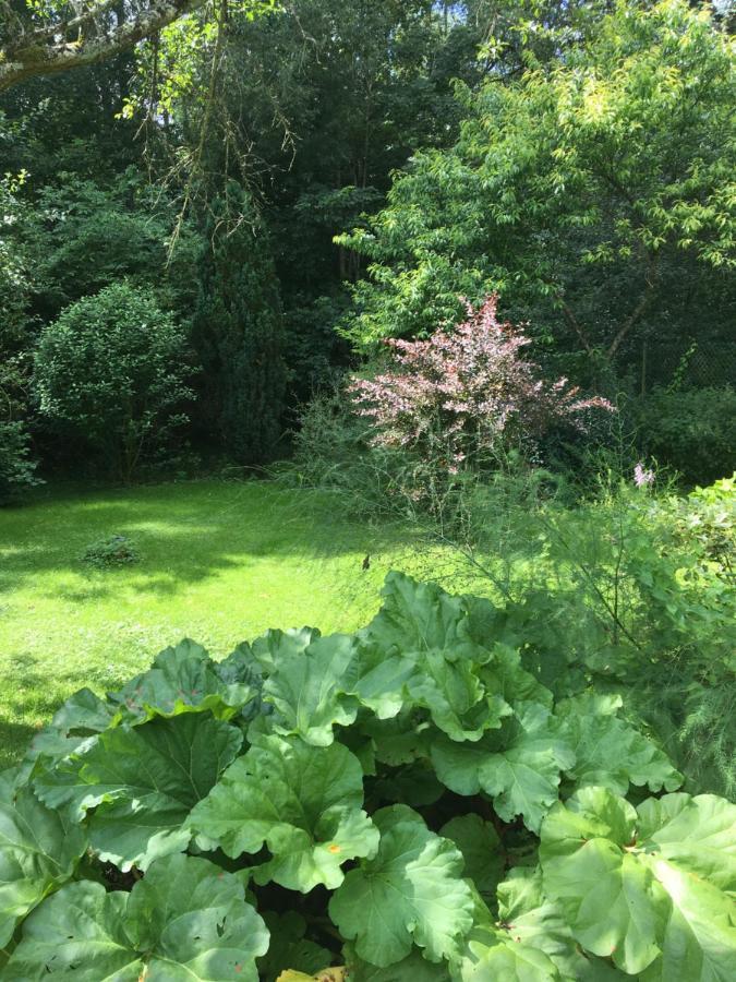 Homestay Un Coin De Foret Courmas